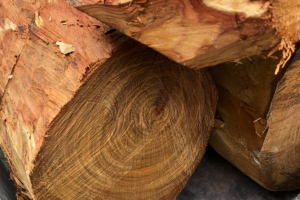 关税压力下，越南木材转向欧洲寻新增长