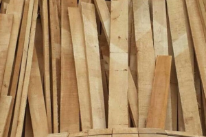 江西国产橡胶木价格行情走势