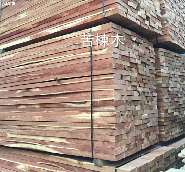 求购：苦楝木板材