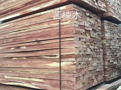 求购：苦楝木板材图1