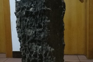 918博天堂捕鱼